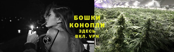 PSILOCYBIN Гусев