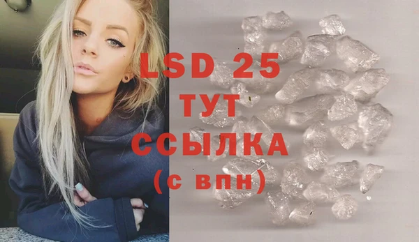 PSILOCYBIN Гусев