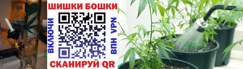 это какой сайт  Оханск  Марихуана индика 